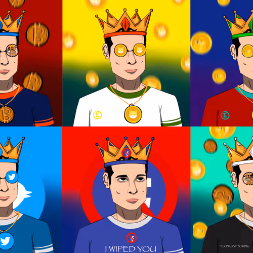 Elon Musk  the King