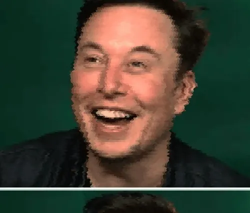 Elon Stuck On My Screen