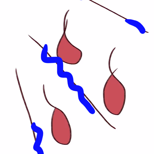 emotions in minimalism