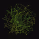 Empyrean by Generative Artworks