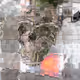 Encapsulated - old