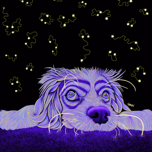 Enchanted Animals