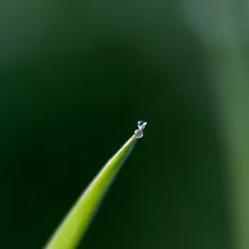 Encounters With Nature