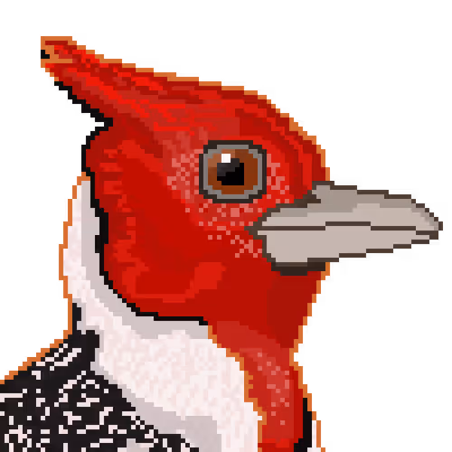 EndangeredBirds