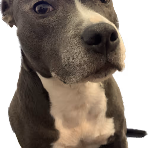 Endless love for my prinzess - old