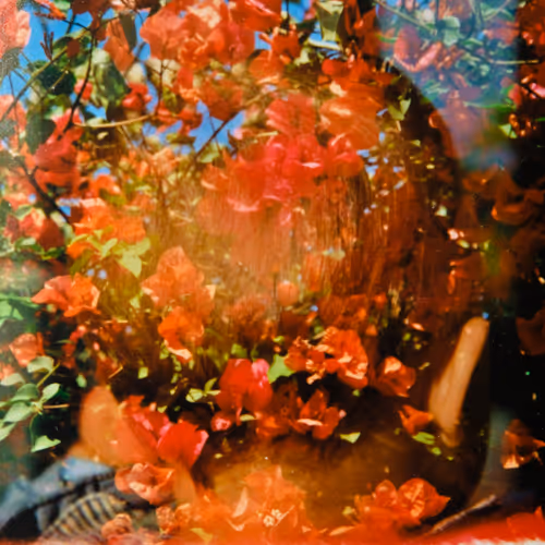 Endless spring - old