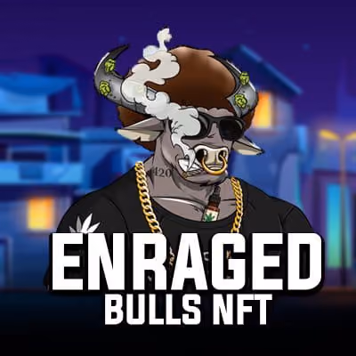 Enraged Bulls*