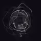 Entangled NFT