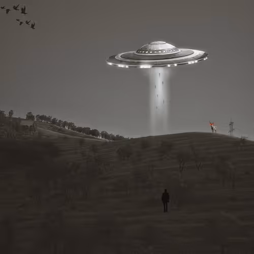 Entering the fifth dimension