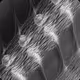 ERTal by 0xsh Club