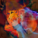 Eruption of Self