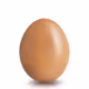 EsctacticEggs
