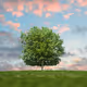 Environment, Social, Governance Action NFTs