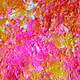 Essence abstract