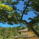 Essence of Japan