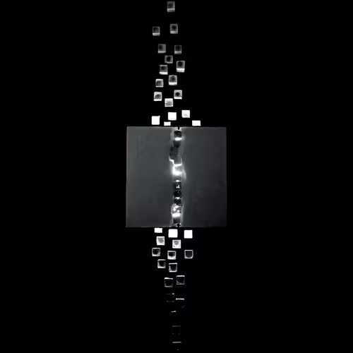 "The First Collection" by Taddei