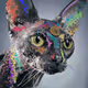 ETH CAT V2