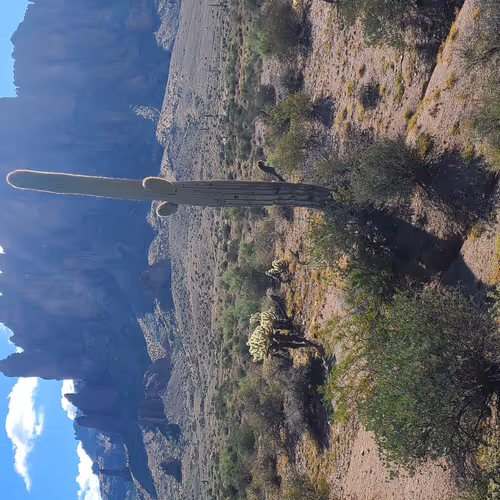 _ether Collection - old