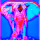 EthereumElephants