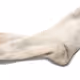 Ether Sock