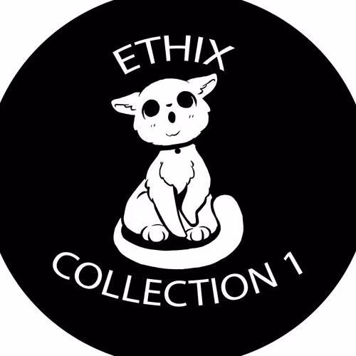 The creation of Ethix (First Collection)
