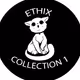 The creation of Ethix (First Collection)