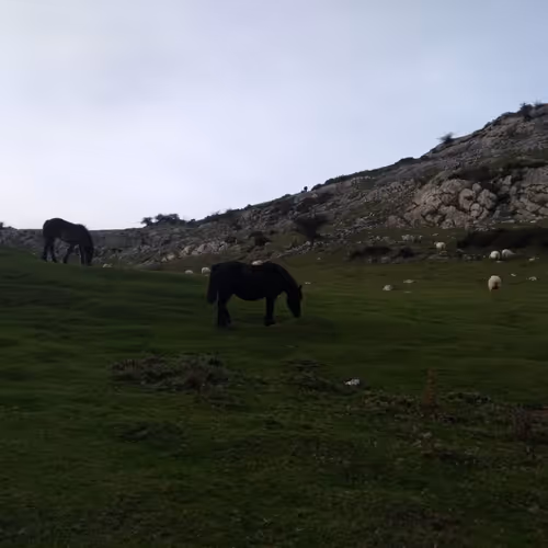 Euskadi - old