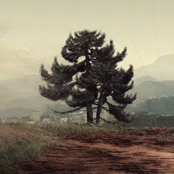 EverGreen L1