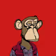 Every BORED APE Everywhere at once