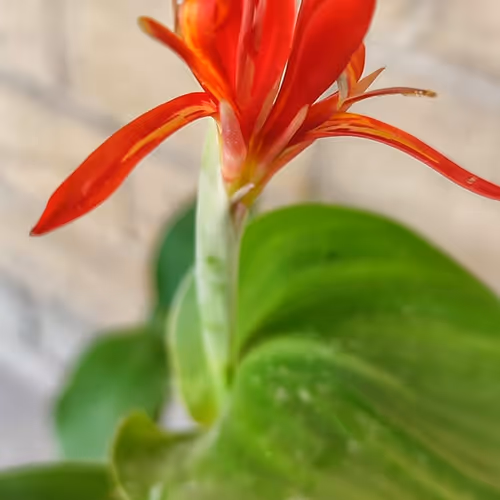 Everyday Random Photography