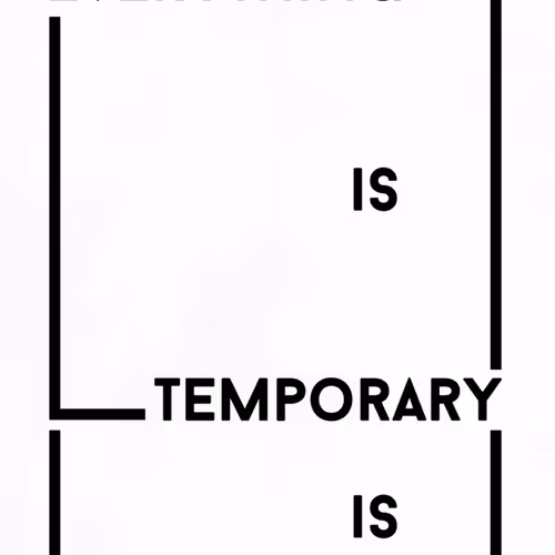 everything is temporary (Stephanie Dillon) - old