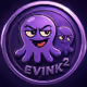 EVINK