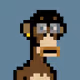 EVOLASTION APES
