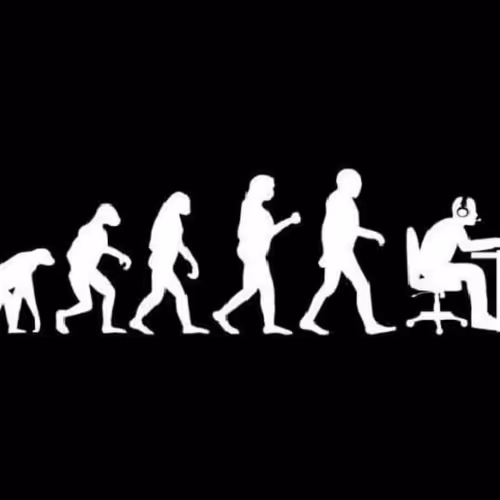 Evolution 1.1