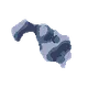 Exceptional Asteroid