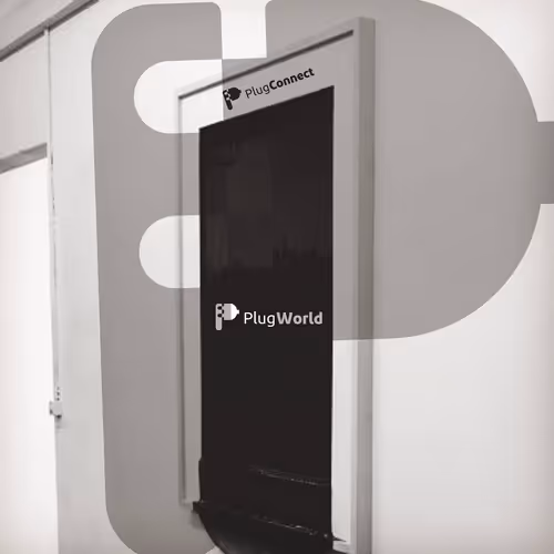 Exclusive PlugWorld NFT