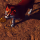 Exclusive Pixel NFT Art