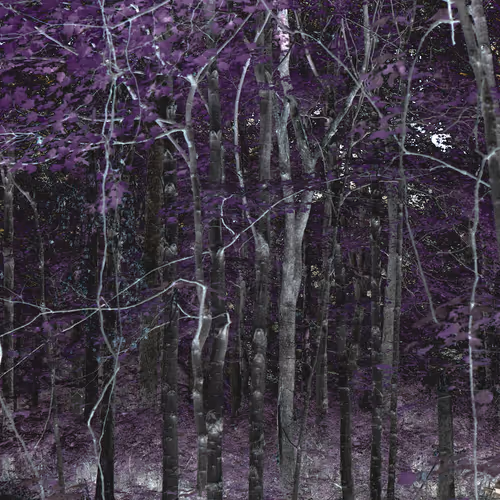 // exiled exports // - old