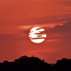 Exotic Escapes