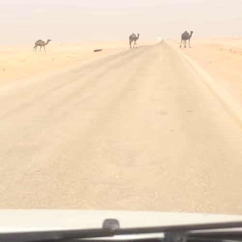 SaudiExpat - old