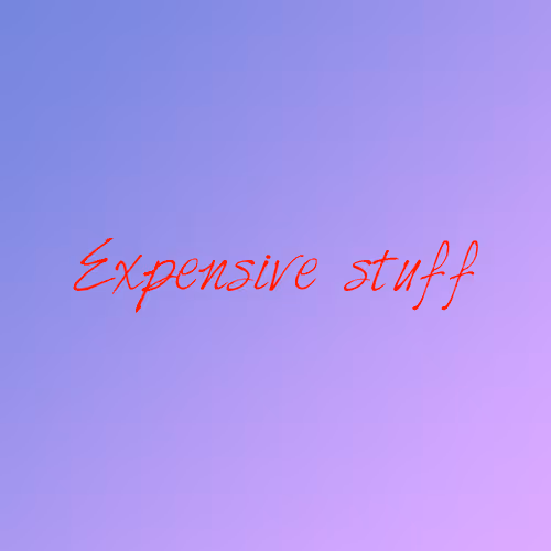 EXPENSIVE STUFF FOR RICH BITCHES - old