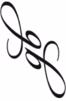 Experience the story