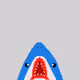 Explorer Shark
