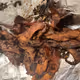 Extra crispy bacon
