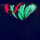 ExtraordinaryButterflies