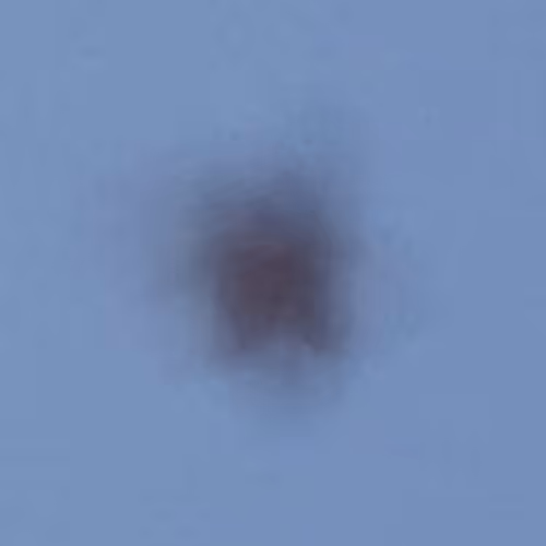 Extraterrestrial creature