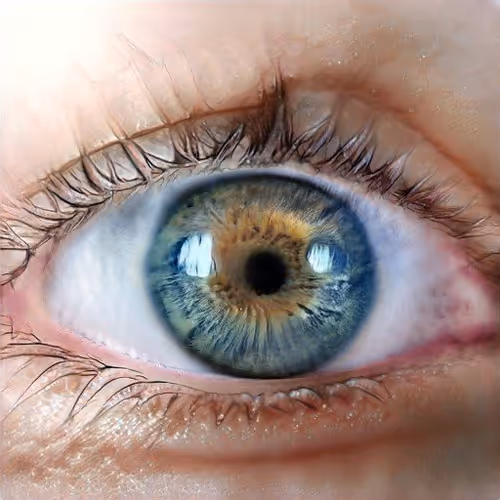 EYE TRIP GAN v1