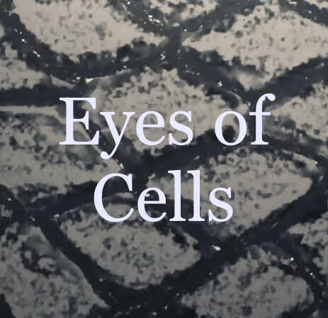 Eyes of Cells