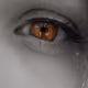 unique collectible eye