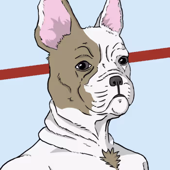 Fabulous Frenchies